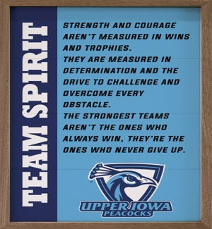 Team Spirit Upper Iowa University